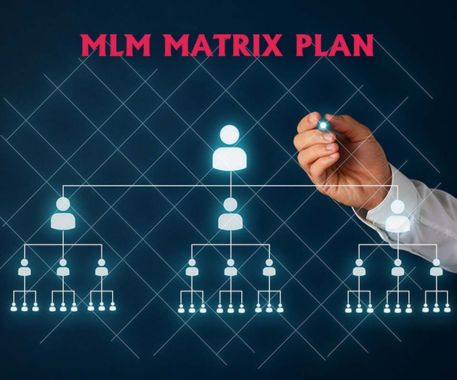 Custom Matrix MLM Software