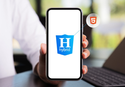 Hybrid App Solutions